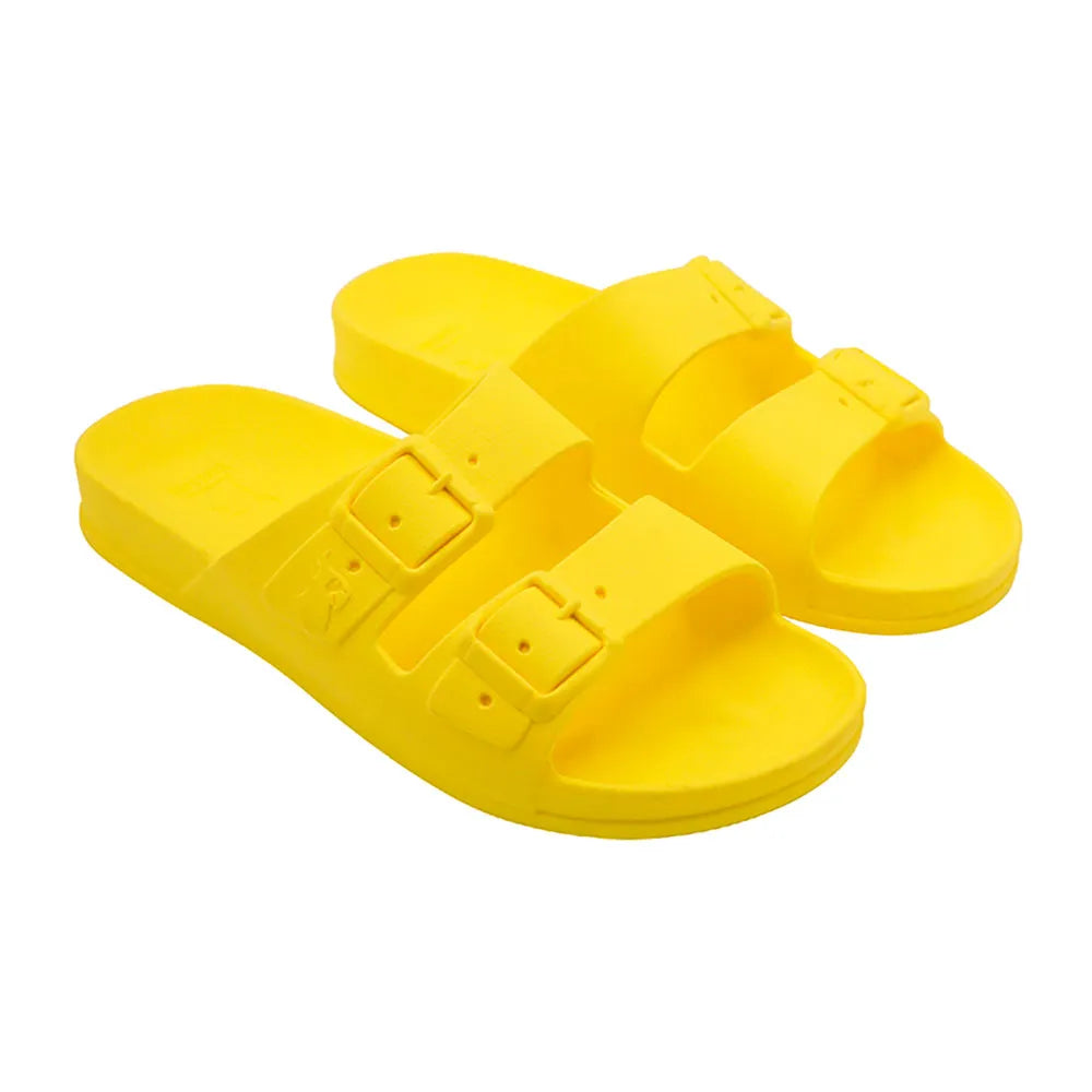Cacatoes Bahia slides