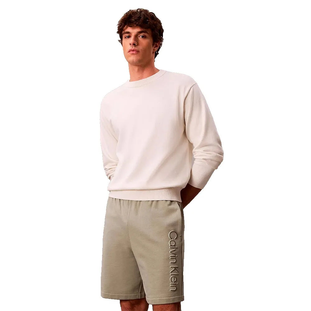 Calvin klein EU 350Terry Graphic shorts