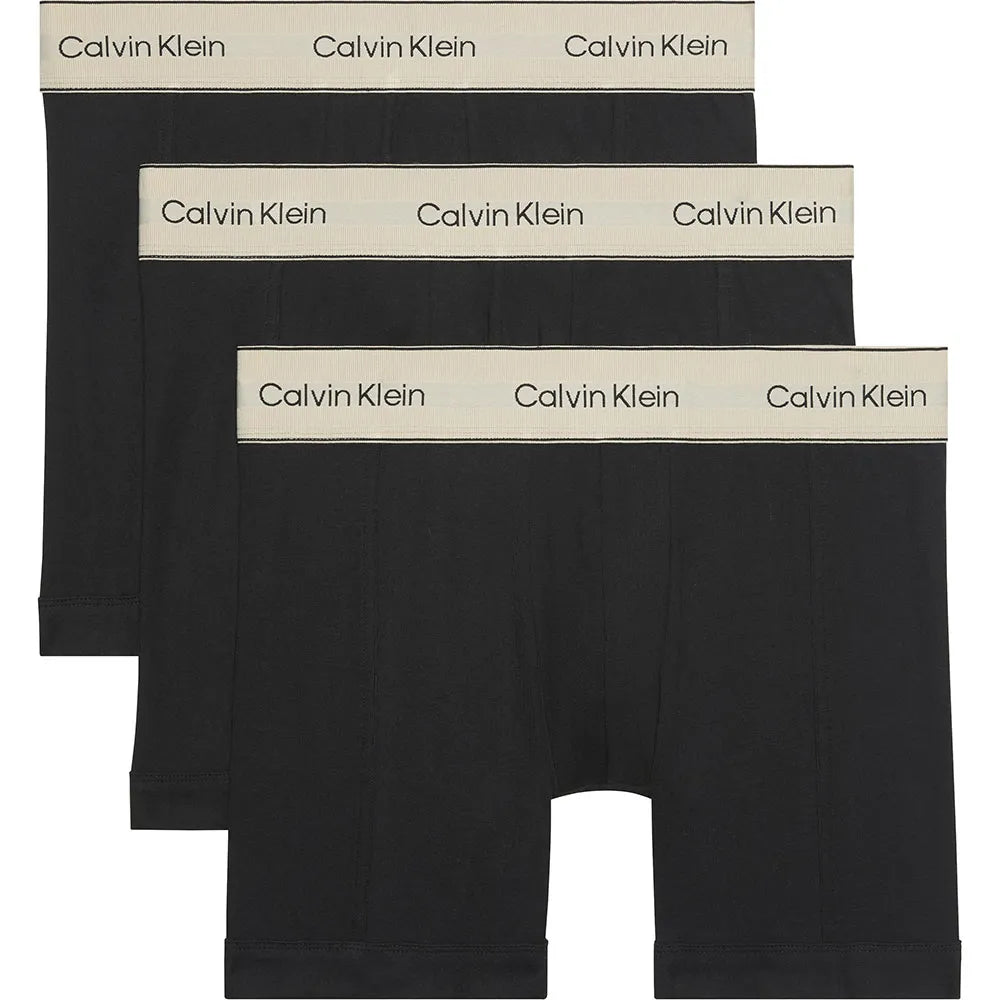 Calvin klein LV00NB4447 Brief boxers 3 units