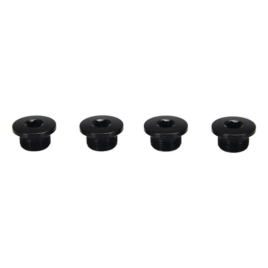 Campagnolo Ekar chainring screw set
