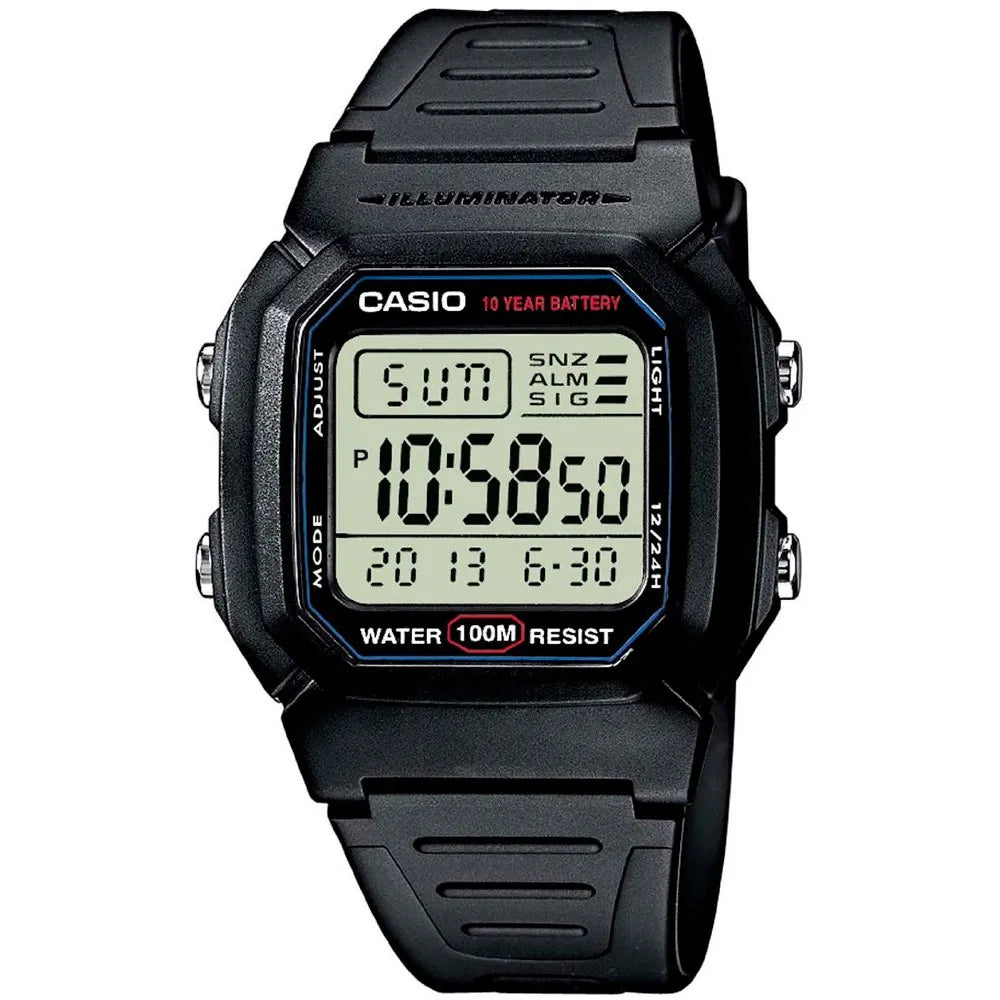 Casio Retro Vintage W-800H watch