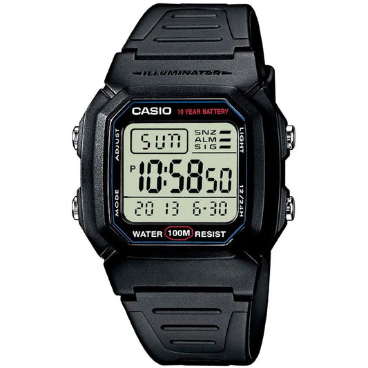 Casio Retro Vintage W-800H watch