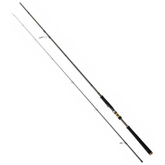 Cinnetic Raycast XBR Dartn spinning rod