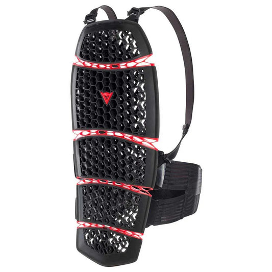 Dainese Pro-Armor 2.0 back protector