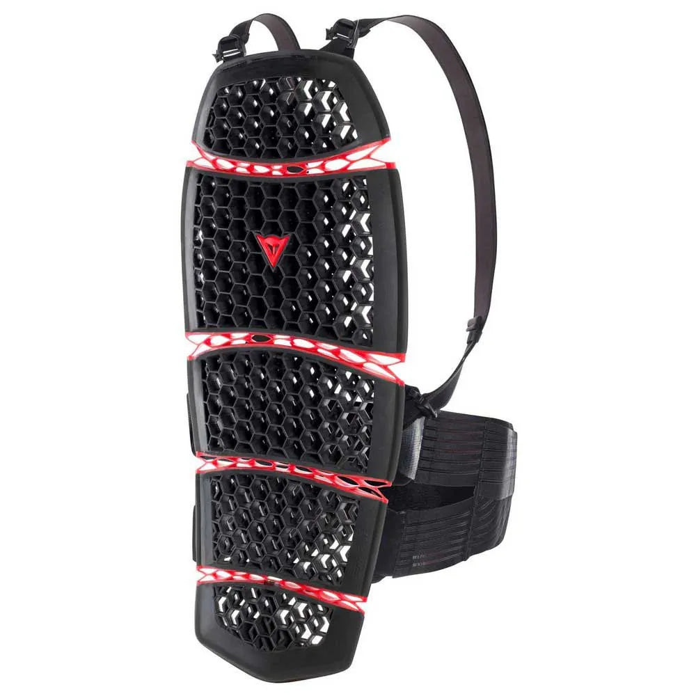 Dainese Pro-Armor 2.0 back protector