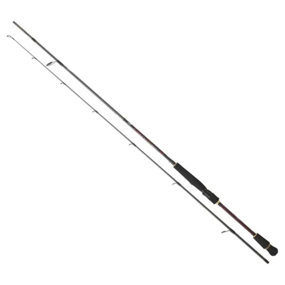 Daiwa Infeet Seabass spinning rod