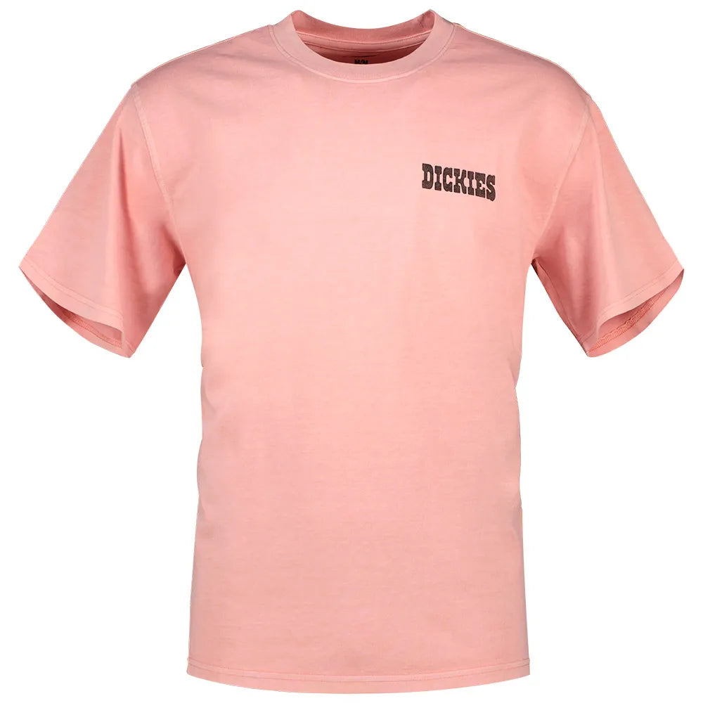 Dickies Buchtell short sleeve T-shirt
