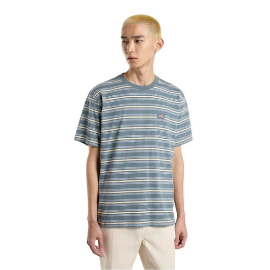 Dickies Lewistown Stripe short sleeve T-shirt