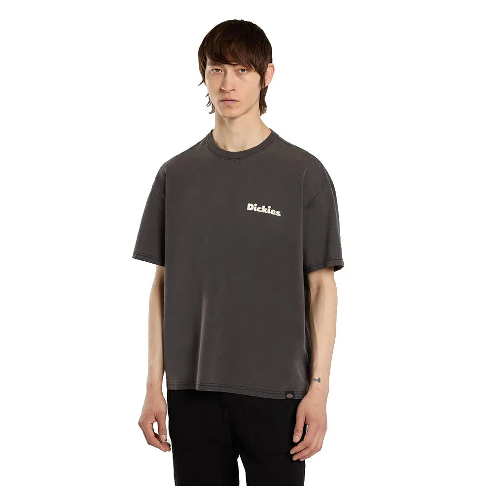 Dickies Slayden GD short sleeve T-shirt
