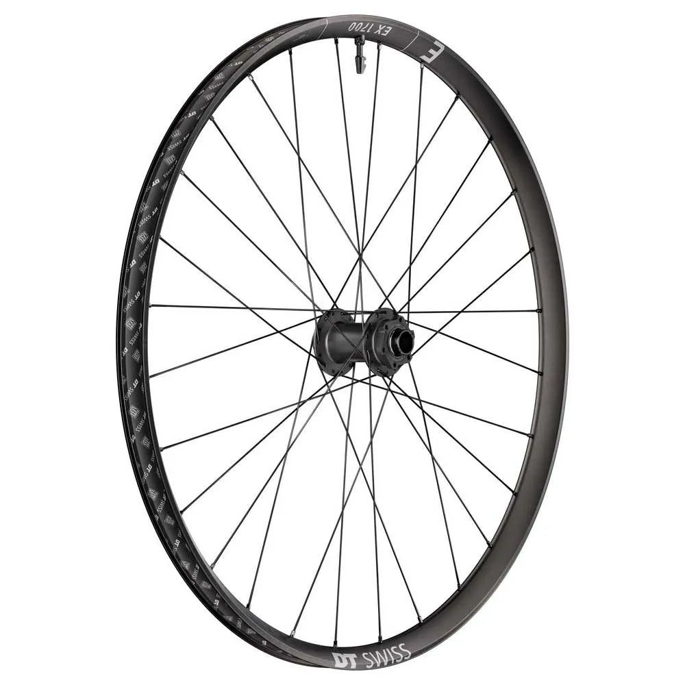 DT Swiss EX 1700 CLASSIC 29´´ 21 6B Disc Tubeless MTB front wheel