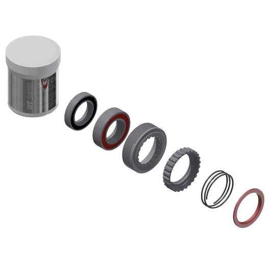 DT Swiss Ratchet 54t 180 EXP service kit