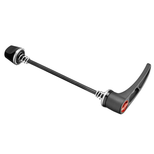 DT Swiss RWS 10 Steel through axle