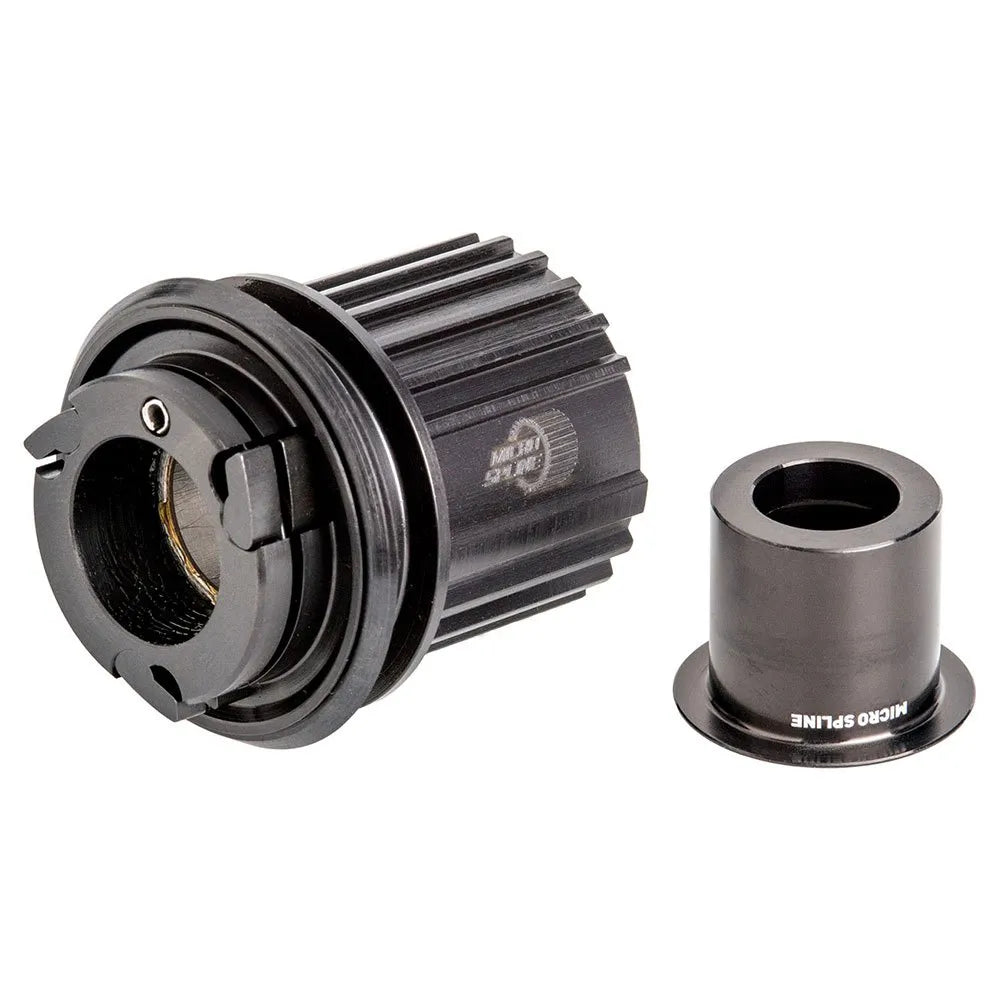 DT Swiss Shimano Micro Spline 3-Pawl Kit freehub body