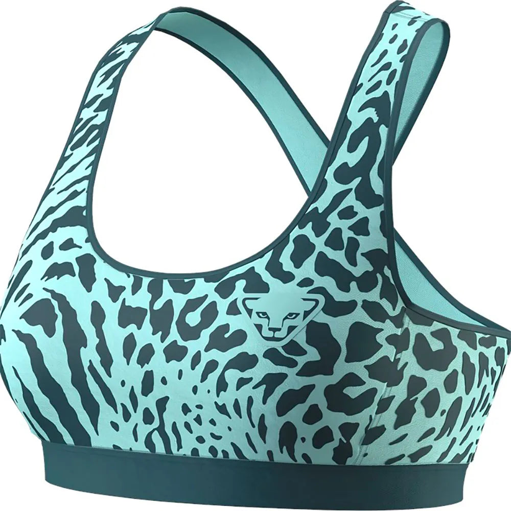 Dynafit Alpine Graphic sports top