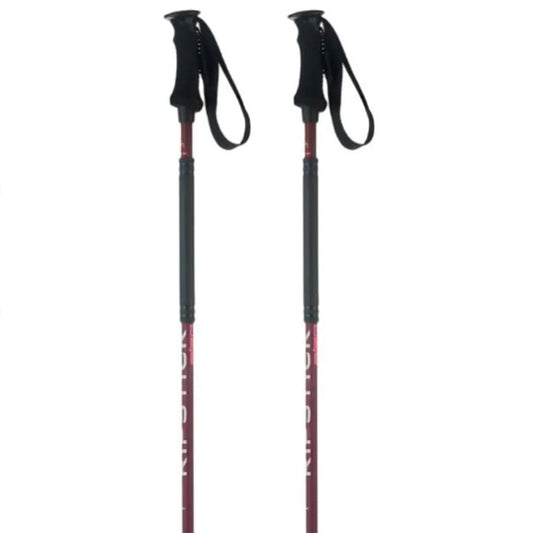 Elan Ripstick Rod W poles