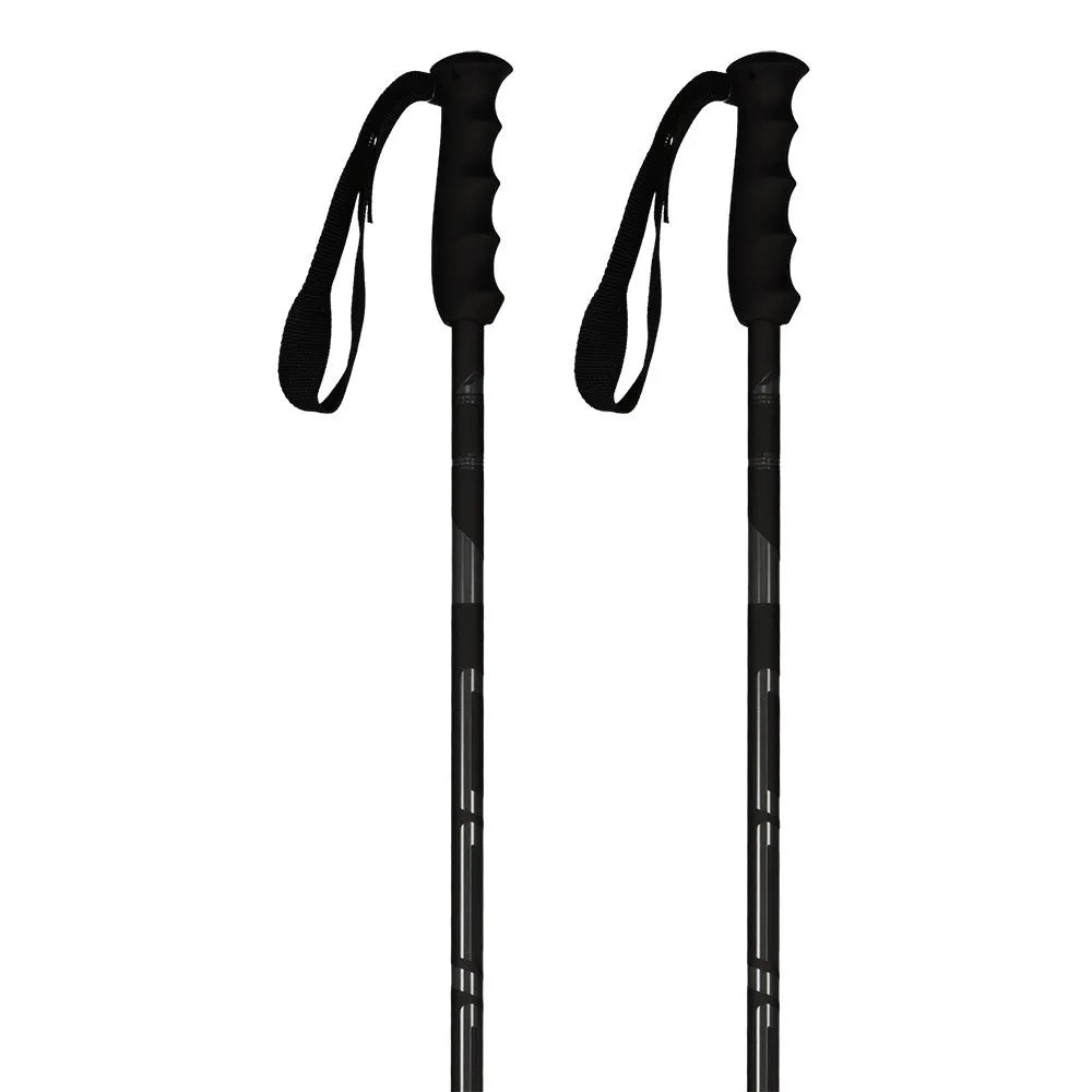 Elan Speedrod poles