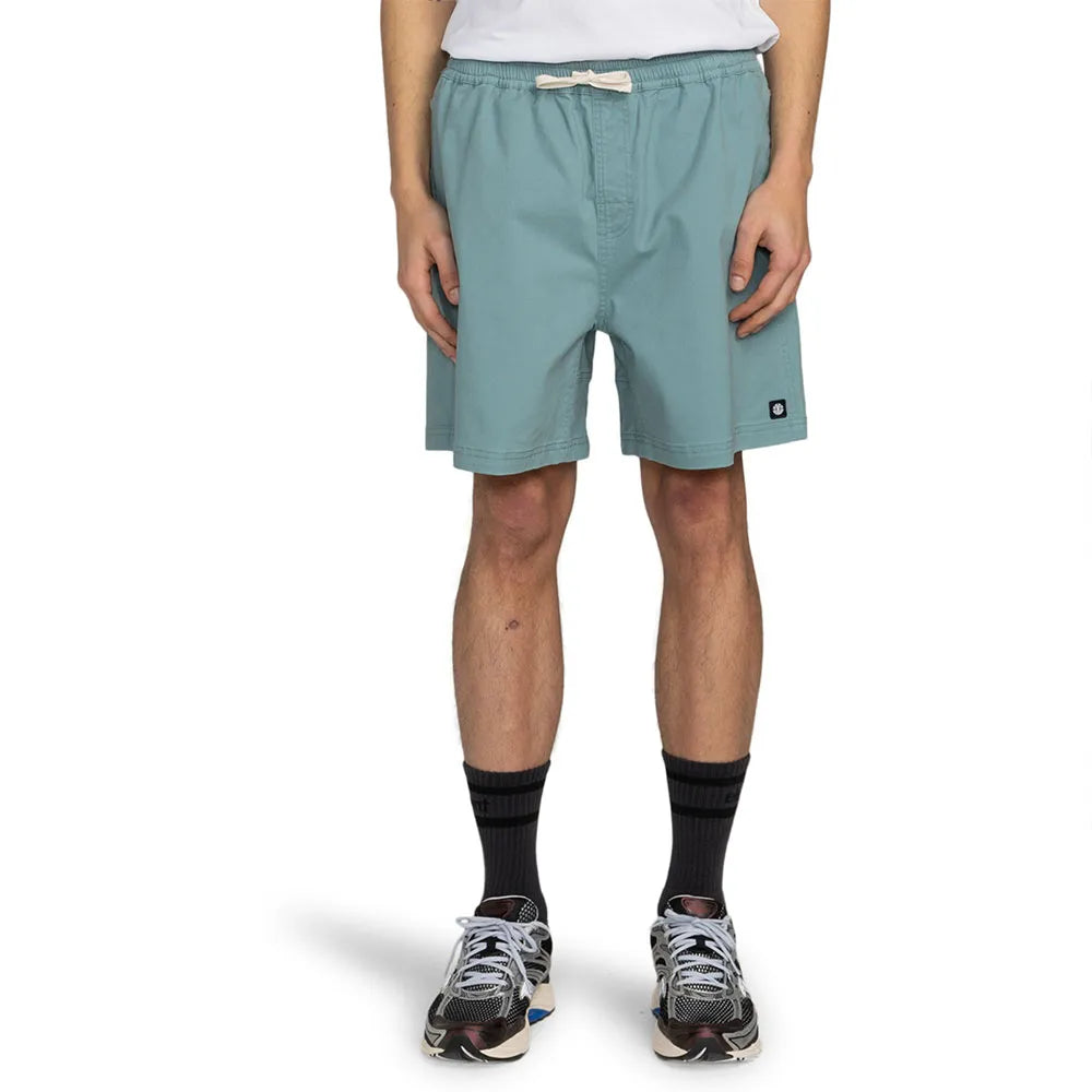 Element Chillin Classic Wk shorts