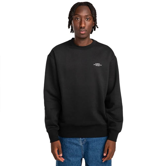 Element Cornell Skate Co sweatshirt