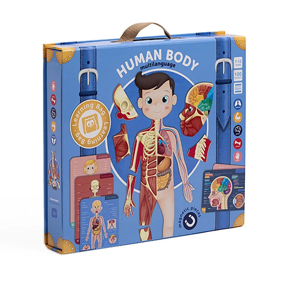 Eurekakids Human body magnetic multi language