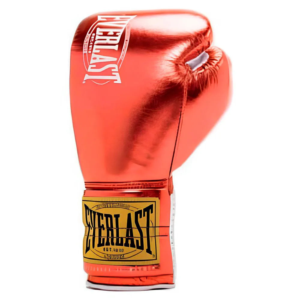Everlast 1910 Pro Fight combat gloves