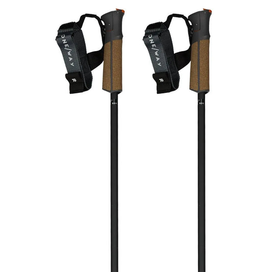 Fischer GT 13 Carbon Mag poles