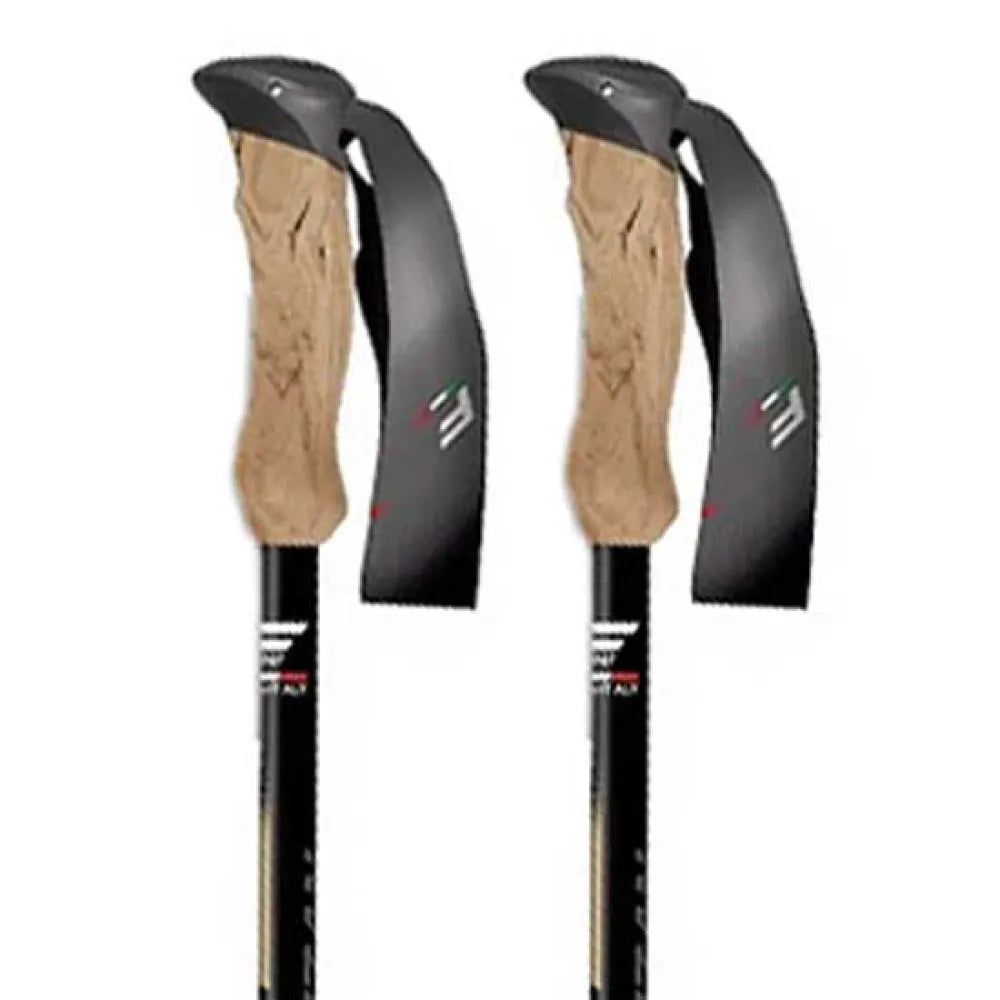 Fizan Compact 4 Tech pole