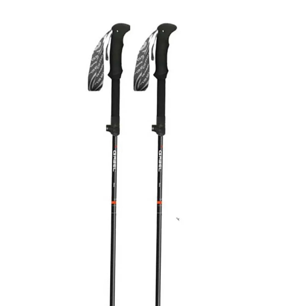 Gabel Ibex Carbon XTS poles