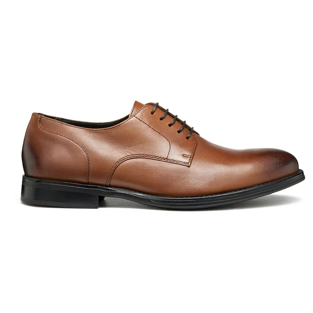 Geox Barberigo shoes