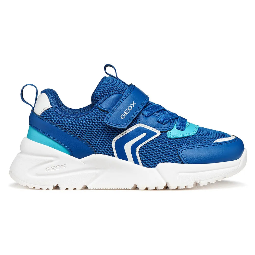 Geox Loftus trainers