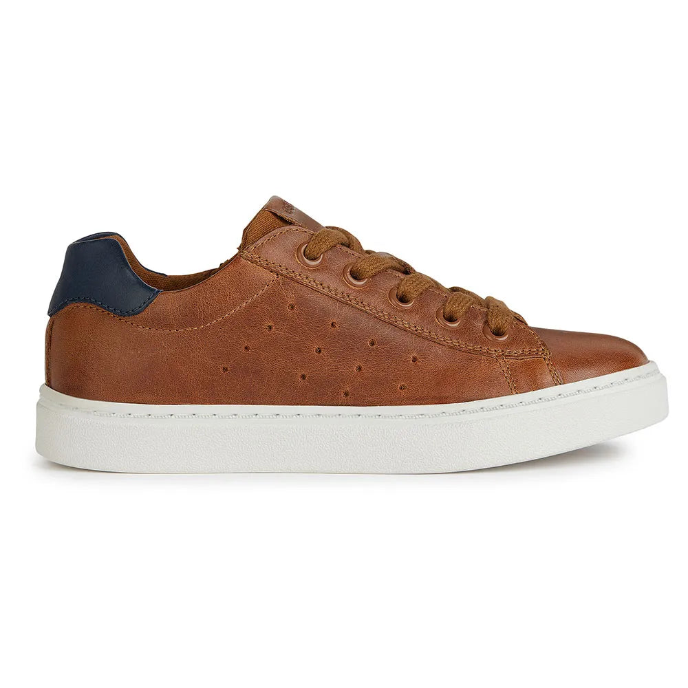 Geox Nashik trainers