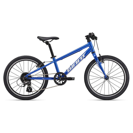 Giant ARX 20´´ Altus RD-M310 2025 MTB bike
