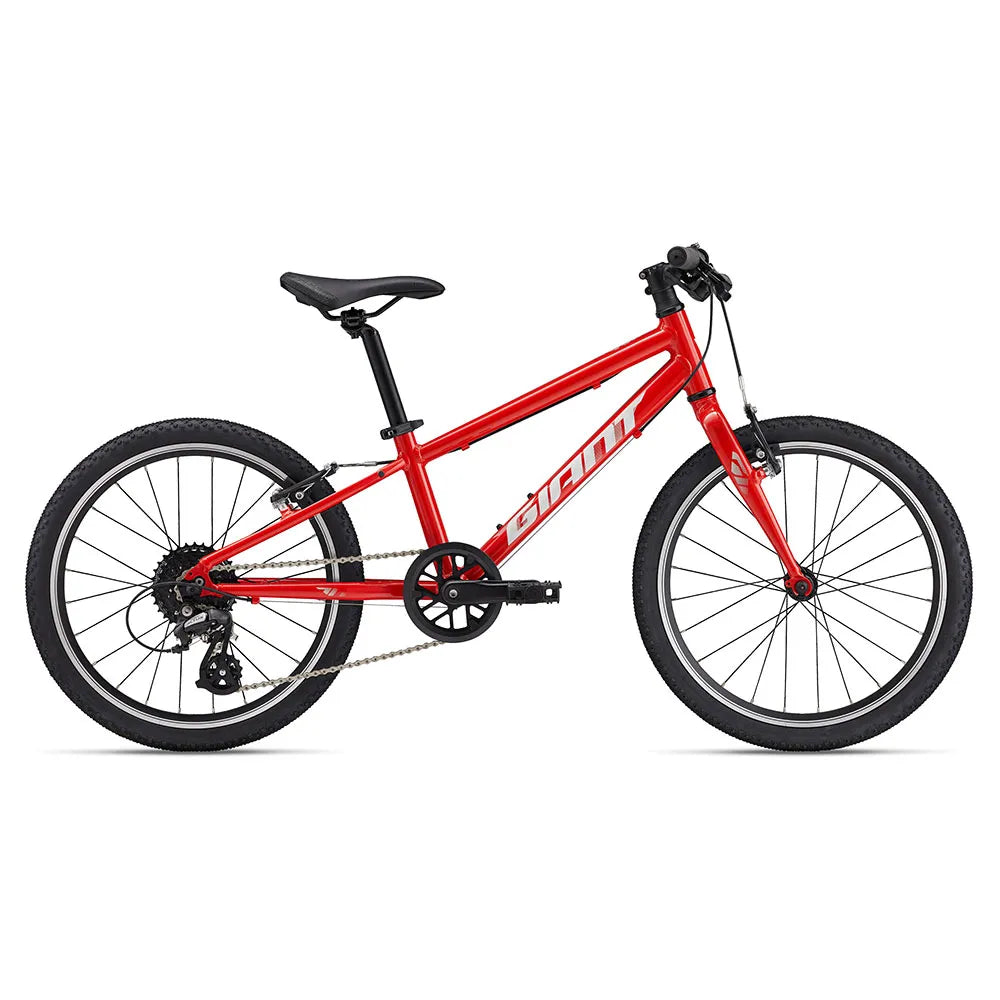 Giant ARX 20´´ Altus RD-M310 2025 MTB bike