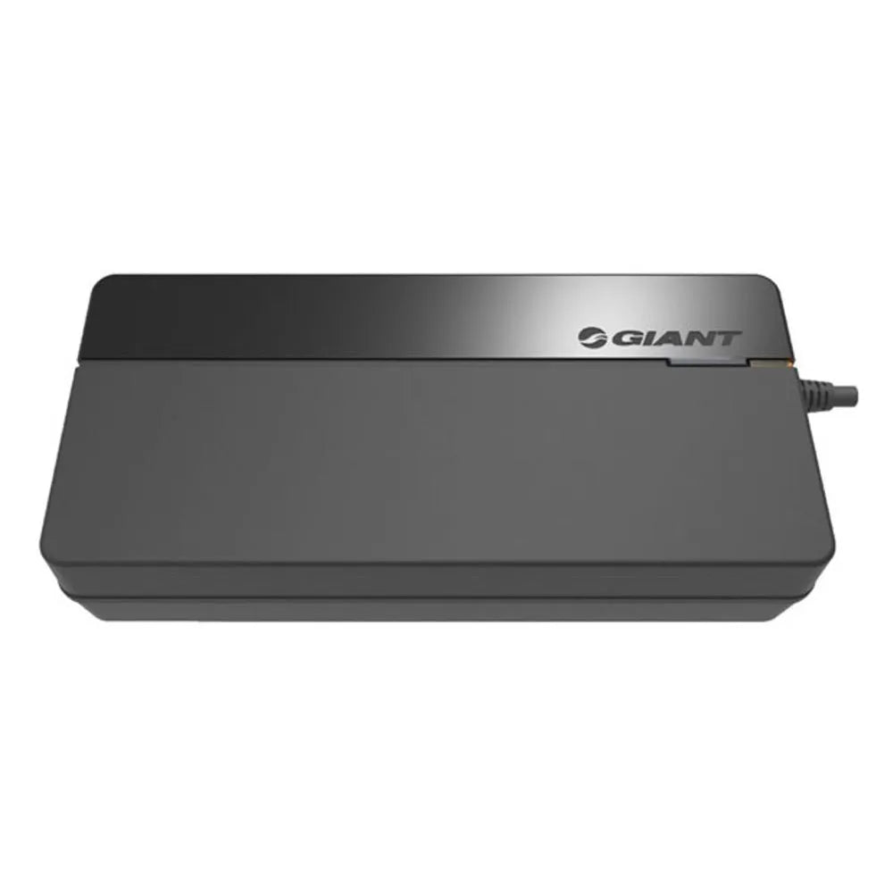 Giant Energypack Smart battery charger