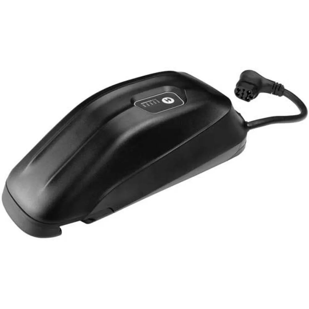 Giant Energypak Plus 250Wh external battery