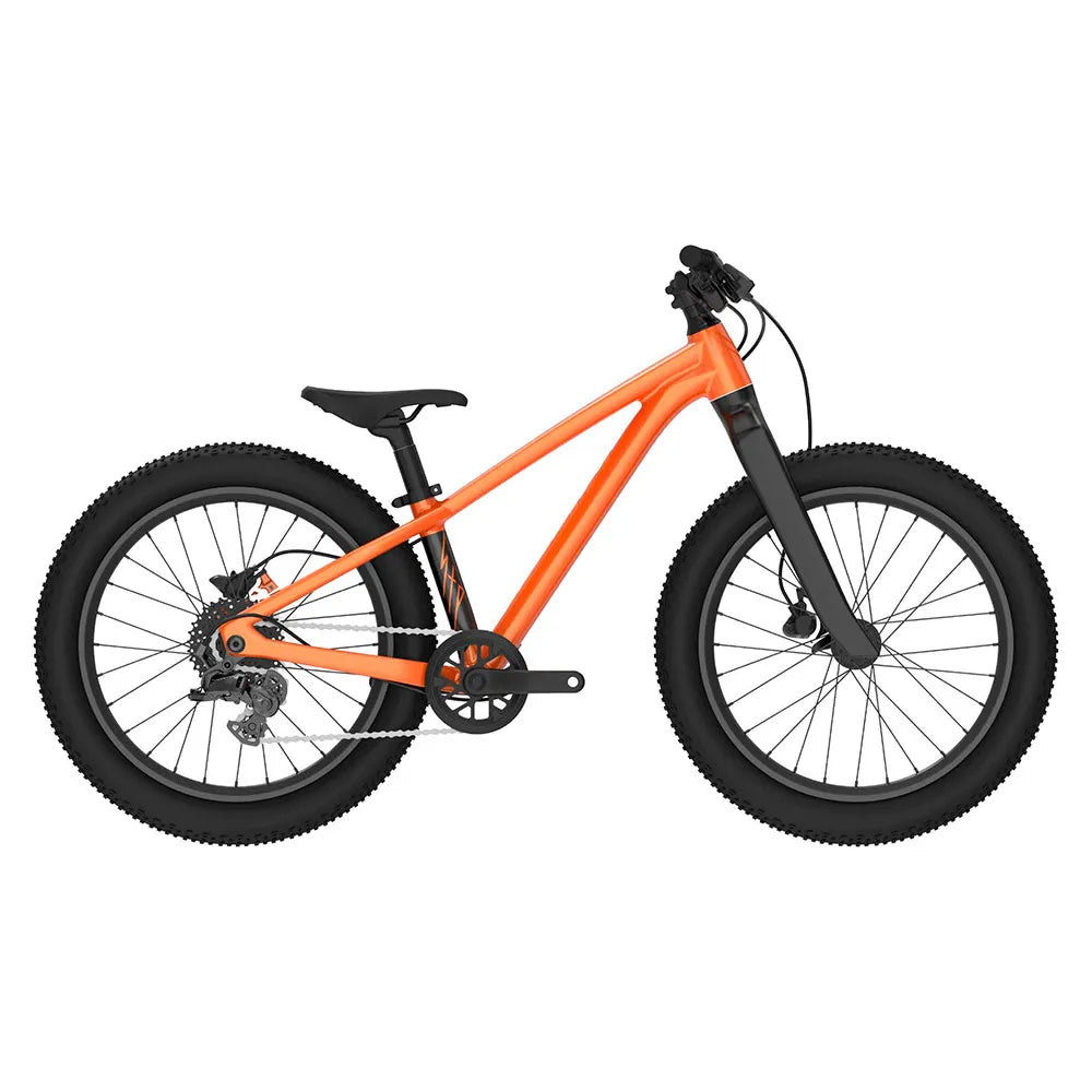 Giant STP 20´´ Advent 2026 bike