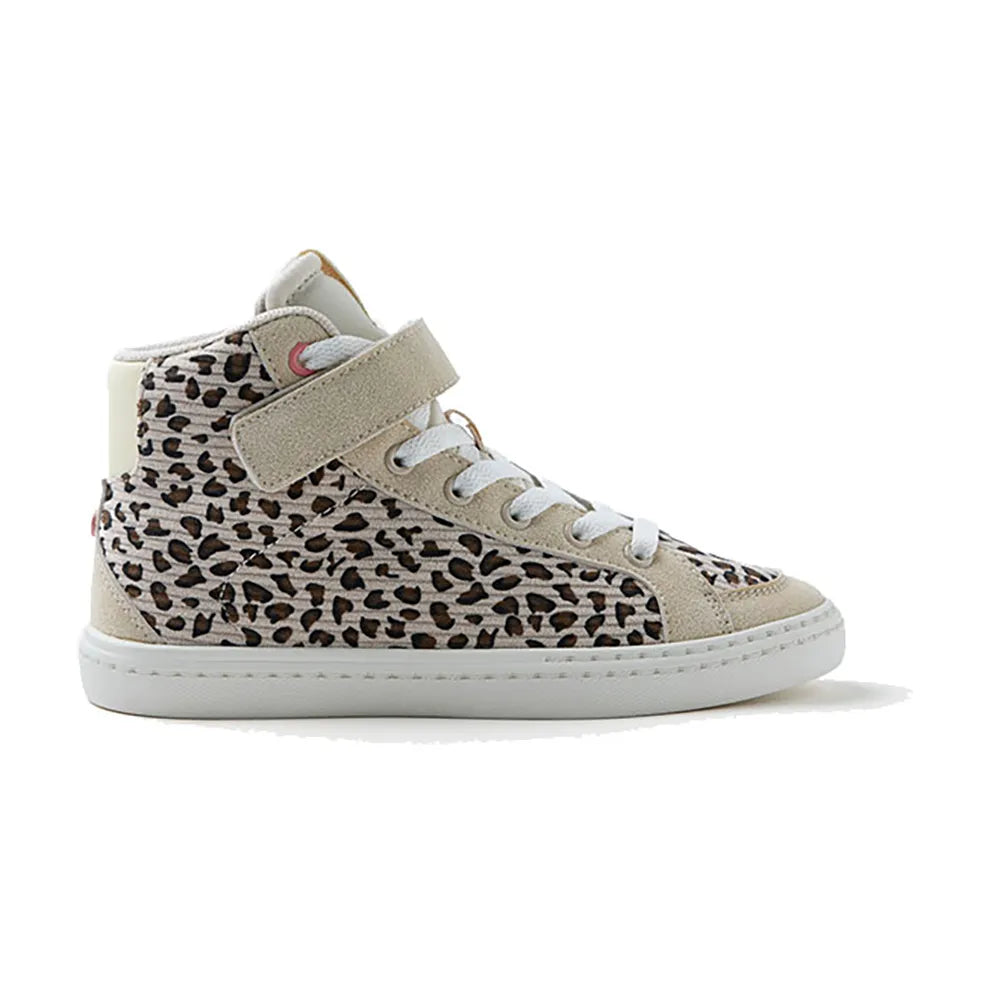 Gioseppo Kilkeny trainers