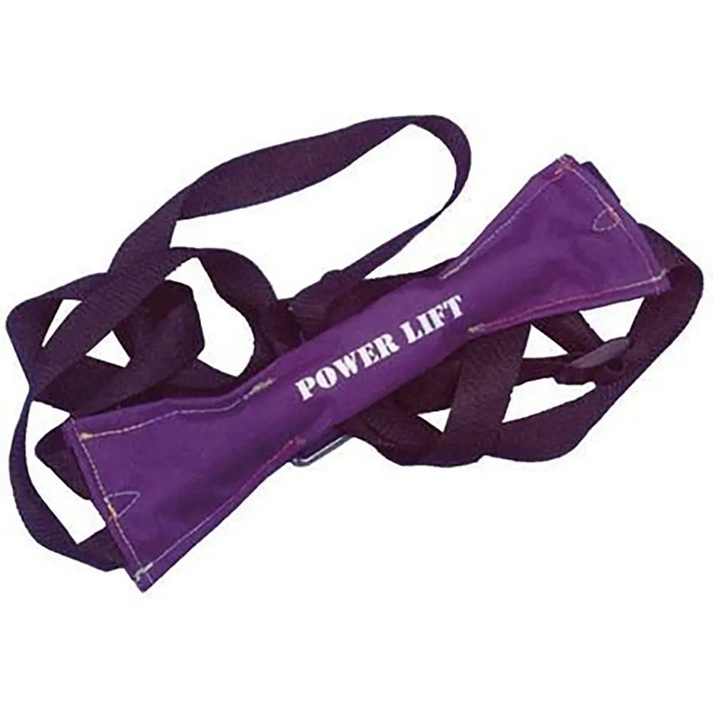 Goldenship Hoisting Harness