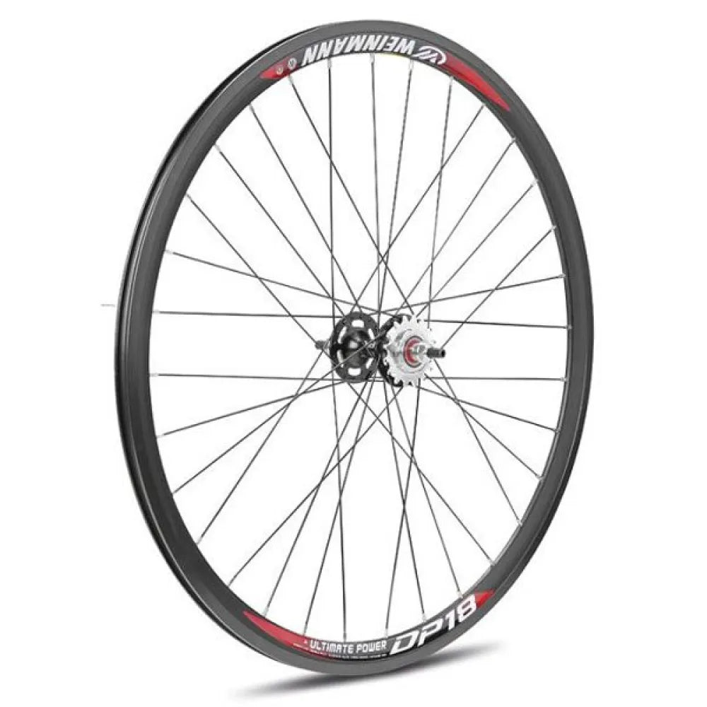 Gurpil Fixed DP-18 Balls Disc Tubular rear wheel
