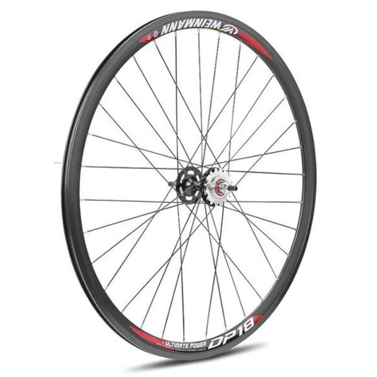 Gurpil Fixed DP-18 Balls Disc Tubular rear wheel