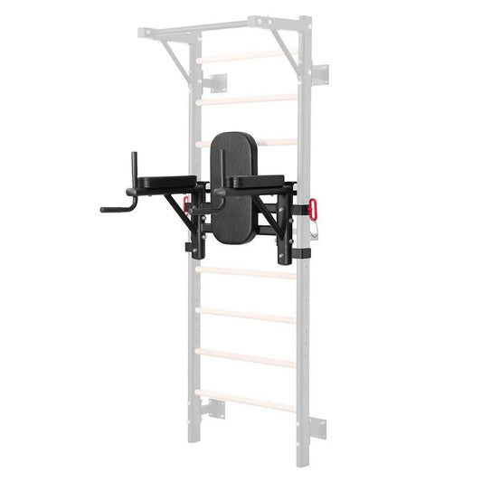 Gymstick Wall Bars dip horn