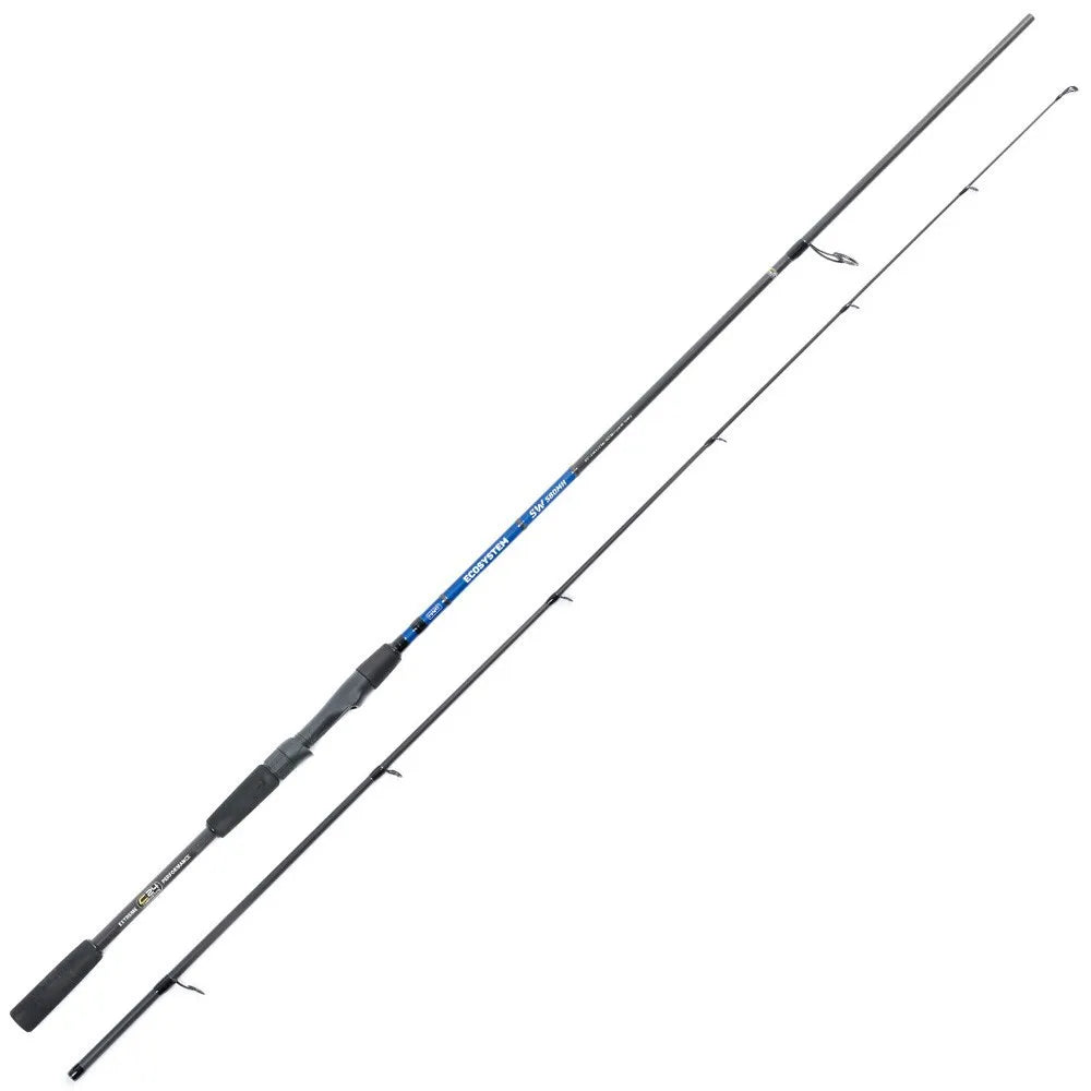 Hart Ecosystem Saltwater spinning rod