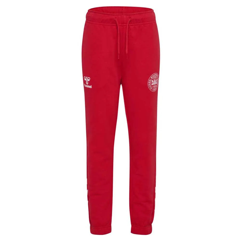 Hummel Regular DBU tracksuit pants