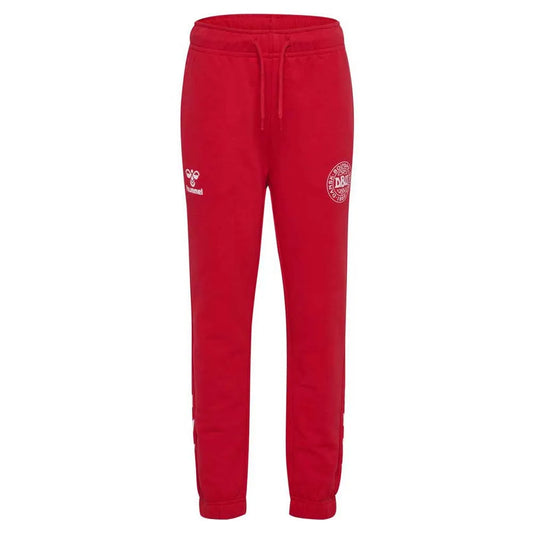 Hummel Regular DBU tracksuit pants