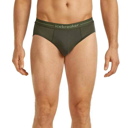 Icebreaker Anatomica slips