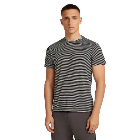 Icebreaker Merino 150 Tech Lite short sleeve T-shirt