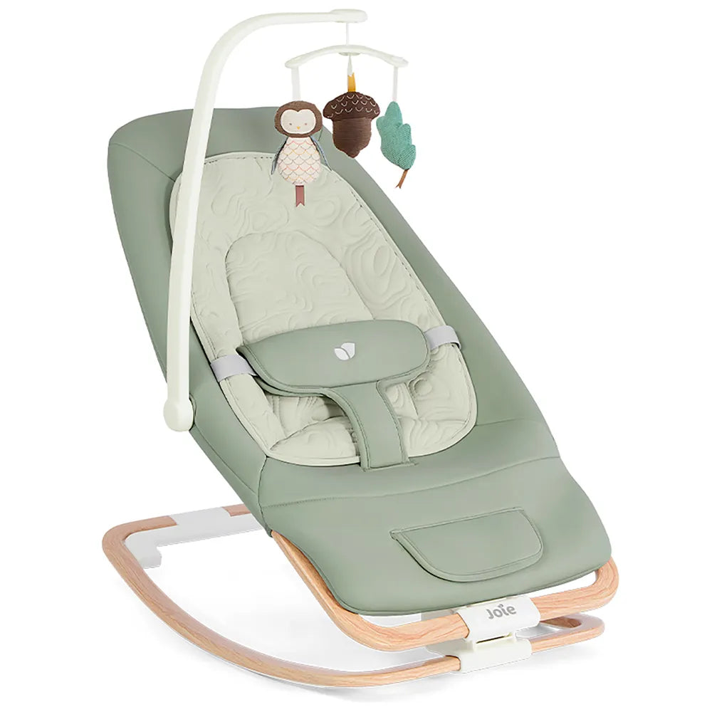 Joie Dreamer Strata hammock