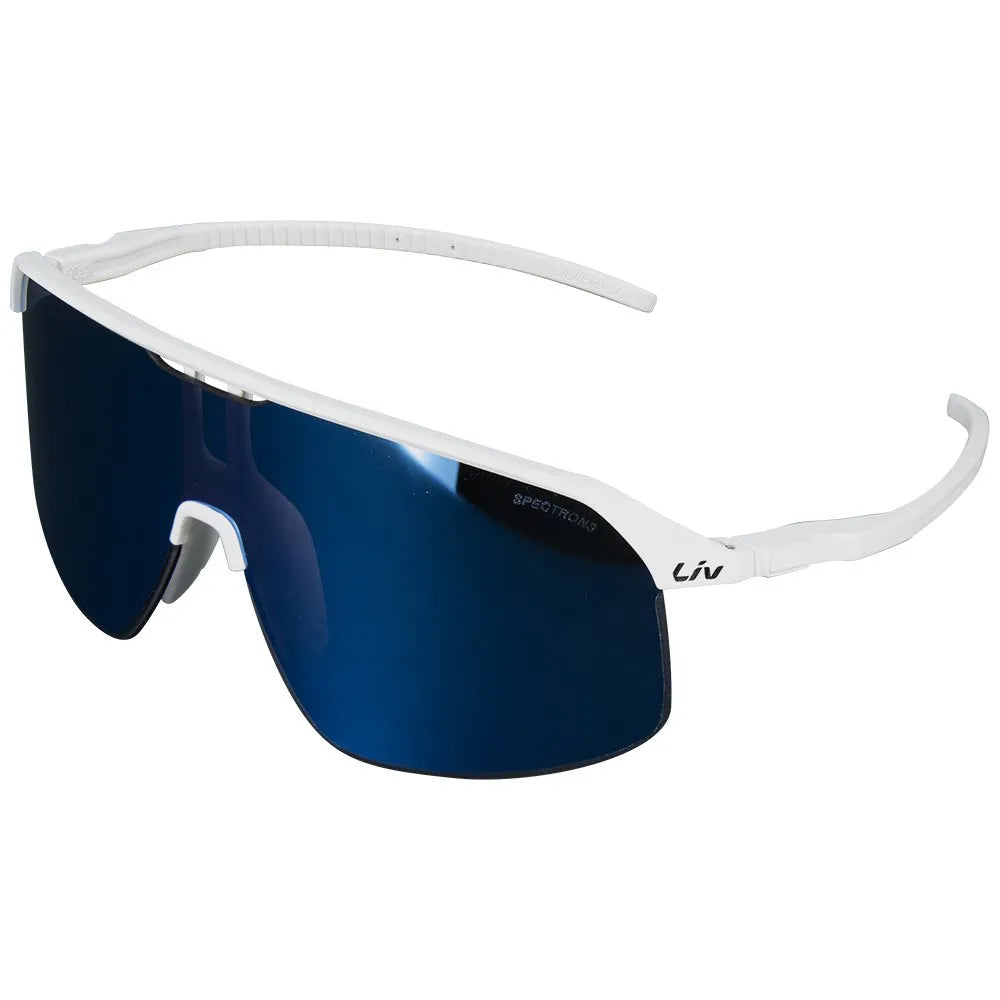 Julbo Density sunglasses