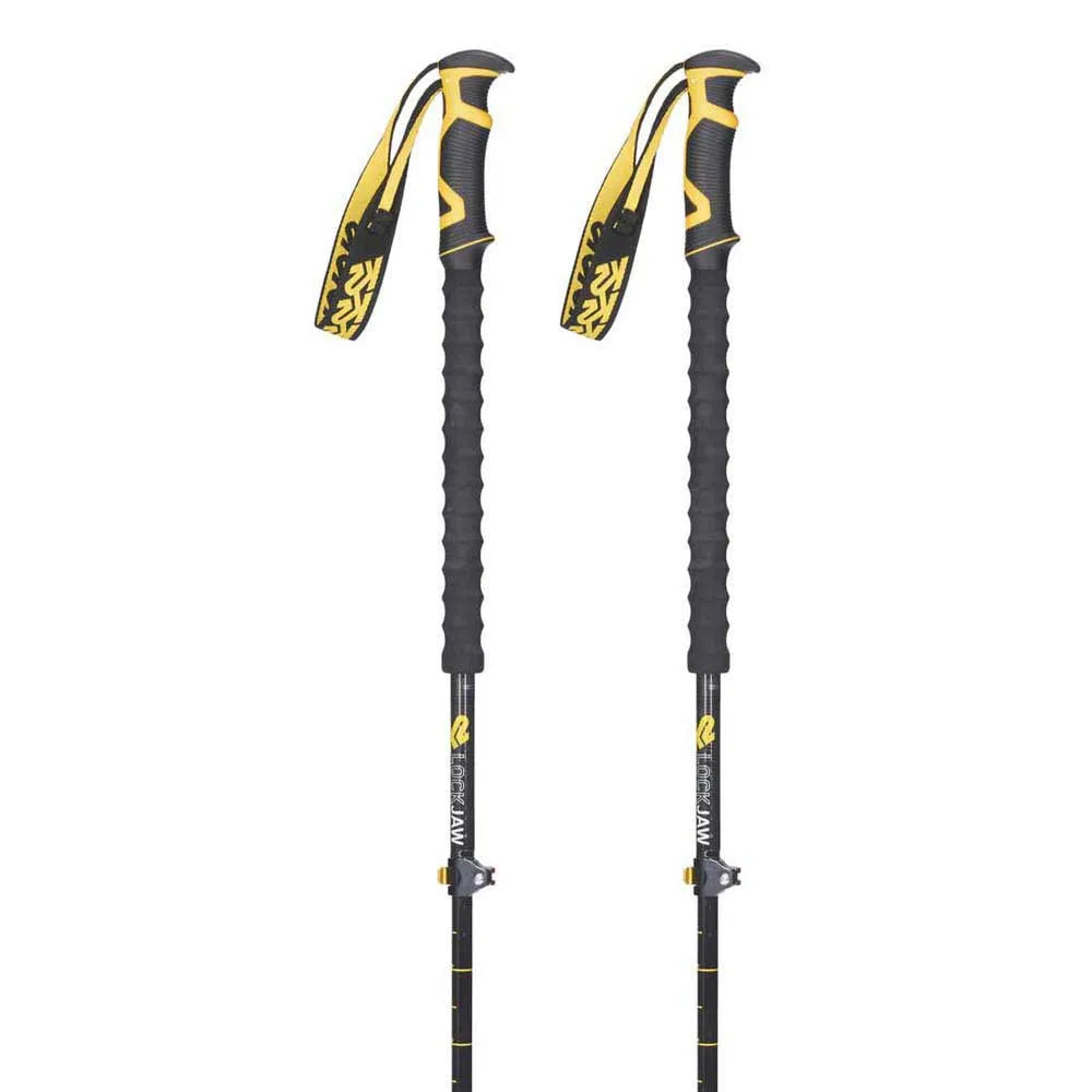 K2 Carbon Plus poles