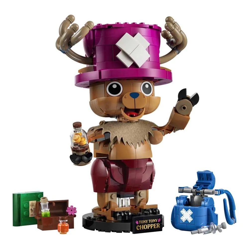 Lego One Piece V29 Construction Game