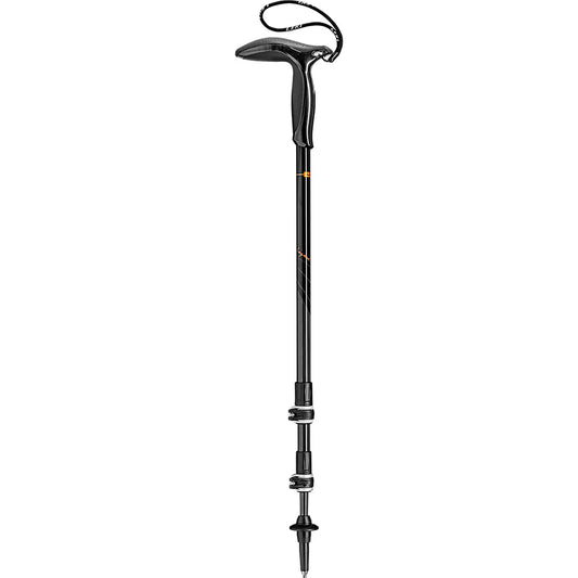 Leki Legend Series poles